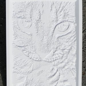 Lithophane-cat-without-light